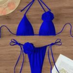swimsuit Bikini