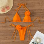 swimsuit Bikini